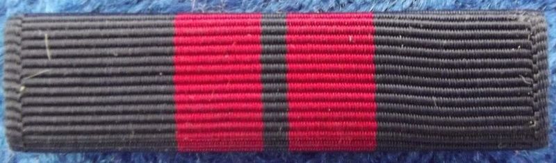 Plik:Haitian Campaign Medal 4.jpg