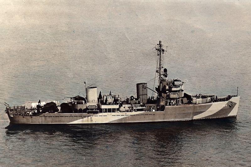 Datei:Sprig.jpg