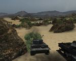 Tiger-1.jpg