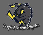 TropicalStormBrigades.jpeg