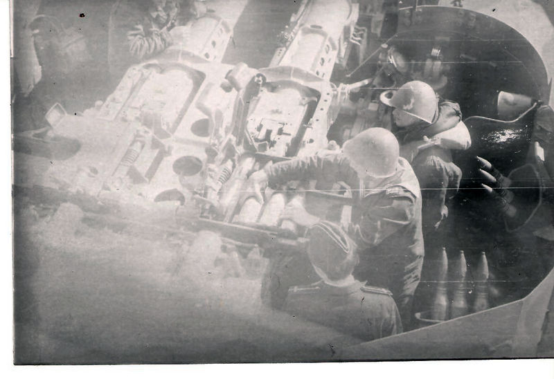 File:ZIF-31s3.jpeg