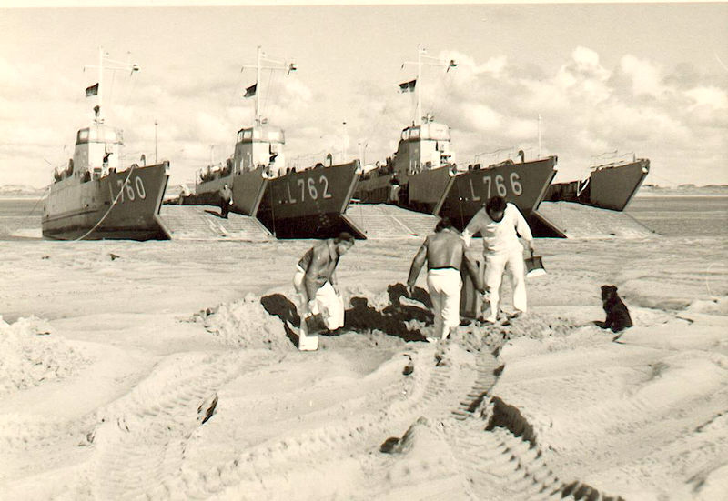 File:Flunder, Lachs, Stör.jpg