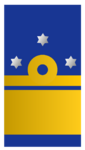 Nl-marine-vloot-vice-admiraal.png