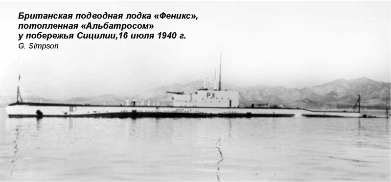 파일:Albatros Pic 07.jpg