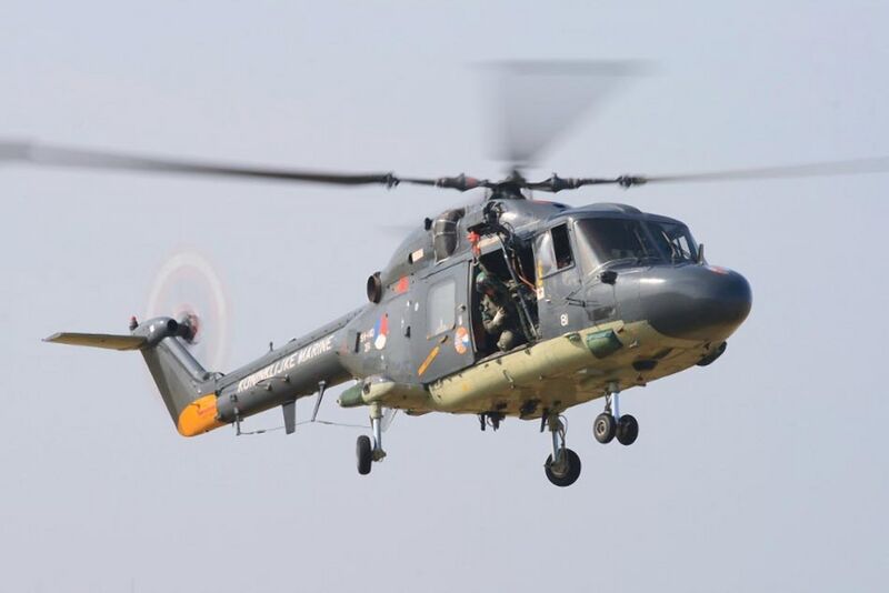 Plik:Lynxhas-7.jpg