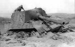 Jagdtiger_8.jpg