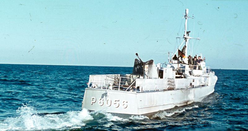 File:Raubmöwe P6056.jpg