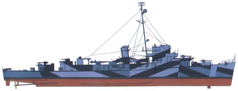 Datei:Buckley-type00032991.jpg