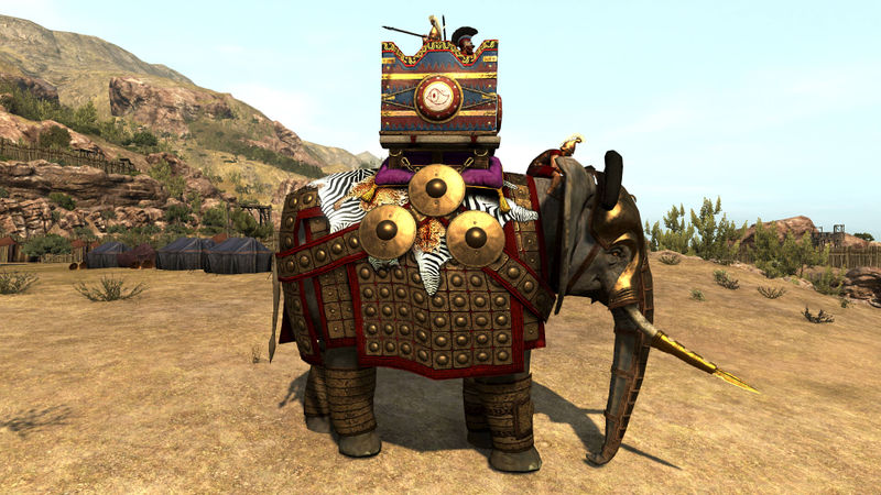 Soubor:Elephant tanit X.jpg