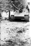 Jagdpanther France.jpg