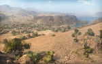 El_Halluf_Global.jpg