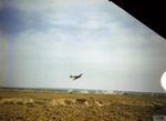 Hurricane_IID_(5).jpg