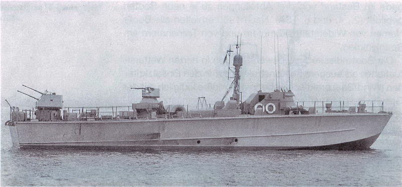 File:Торпедный катер проекта Forelle.jpg