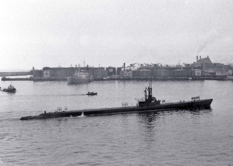 Plik:Balao genoa.jpg