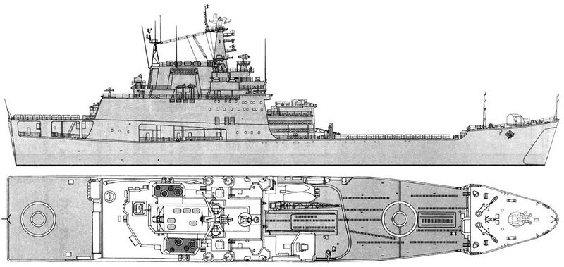 Plik:Rogov00070238.jpg