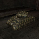Camo21.jpg