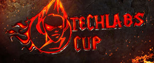 Techlabs_cup.jpg
