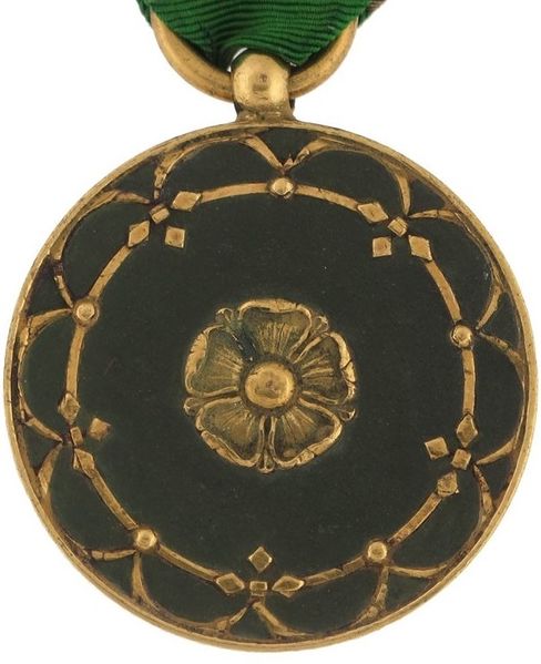 Plik:ALTENBVRG Waterloo Medal1.jpg