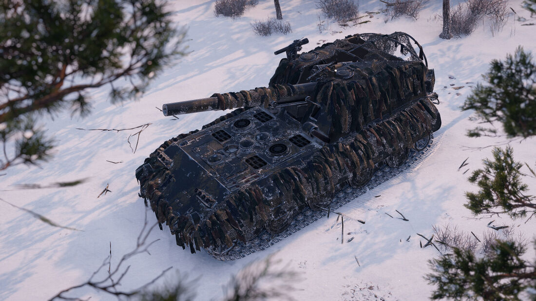 Germany-GWE-100-Tyr_3.jpeg
