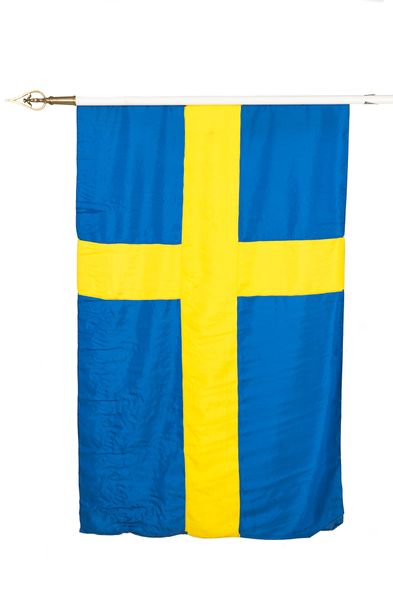File:Hswms remus flag.jpg