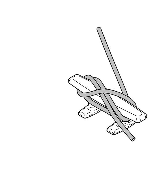 File:Утка4.jpg