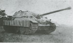 JP_V_hist_20.jpg