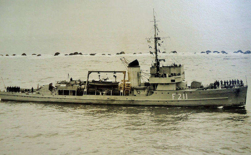 File:Wespe F211.jpg