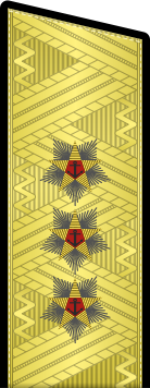 Datei:RAF N F8Adm since 2010par.svg