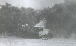 Slf_ZF_1a.jpg