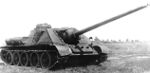 Su100.jpg