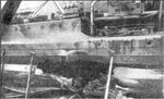 Leip-dam1_cr.jpg