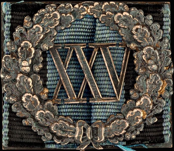Archivo:Znak-bezuprechnoy-slujby-25.jpg