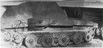 GW_Tiger_hist_8.jpg