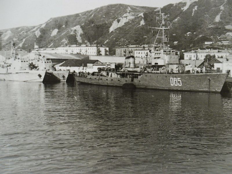 File:ПСКР-493.jpg