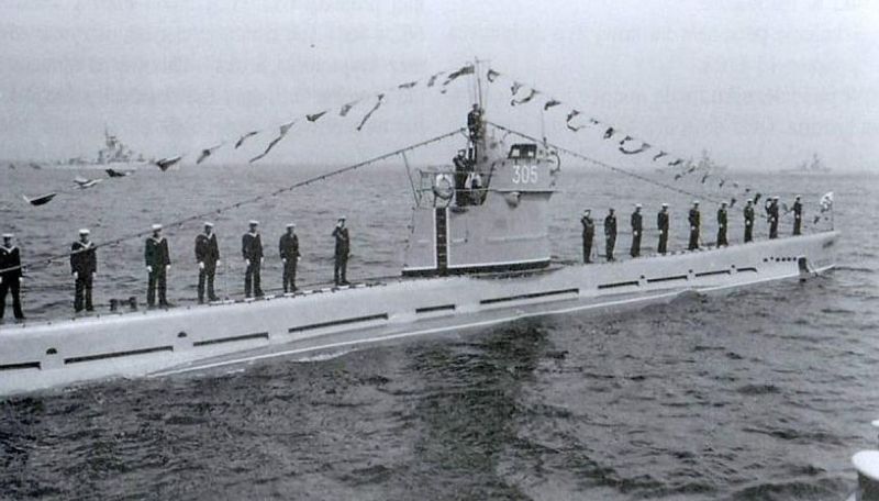 Datei:Orp kujawiak.jpg