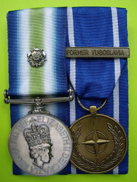 Plik:South Atlantic Medal  NATO Medal.jpg