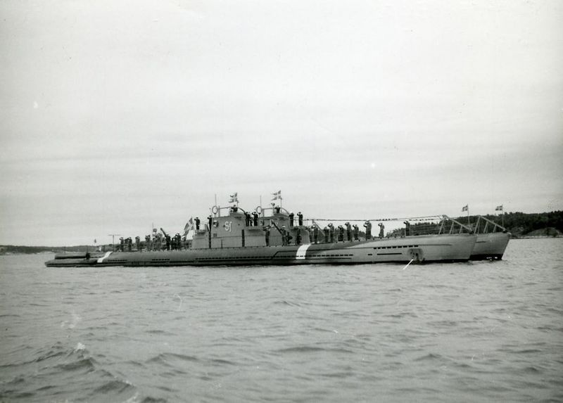 Datei:Svärdfisken.jpg