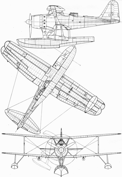 Plik:F1m-1.gif