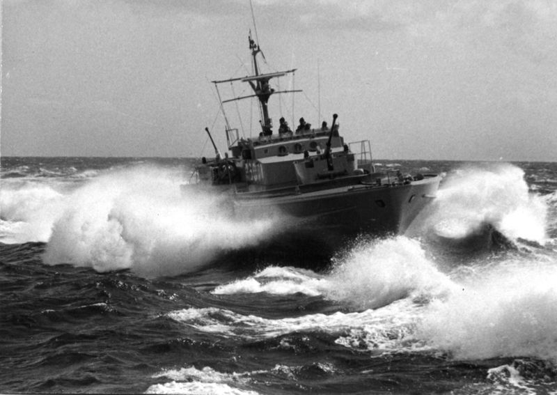 File:Greif P6071.jpg