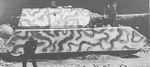 320px-Maus_testing_ground.jpg