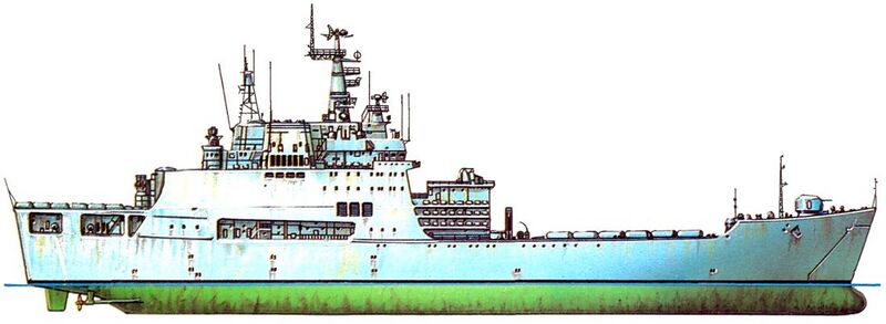 Plik:Rogov00065064 cr.jpg