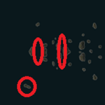 North1.png