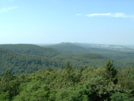 Тевтобургский лес