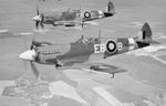 Spitfire_XII.jpg